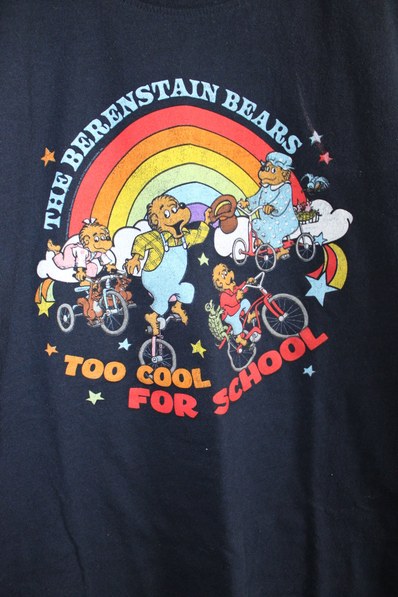 Bernstein Bears Tee- M